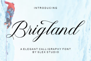 Brigland: A Timeless Typographic Choice for Modern Design