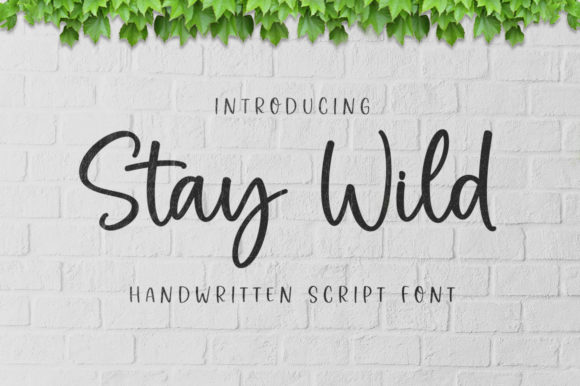 Stay Wild Font: A Delicate and Elegant Handwritten Style